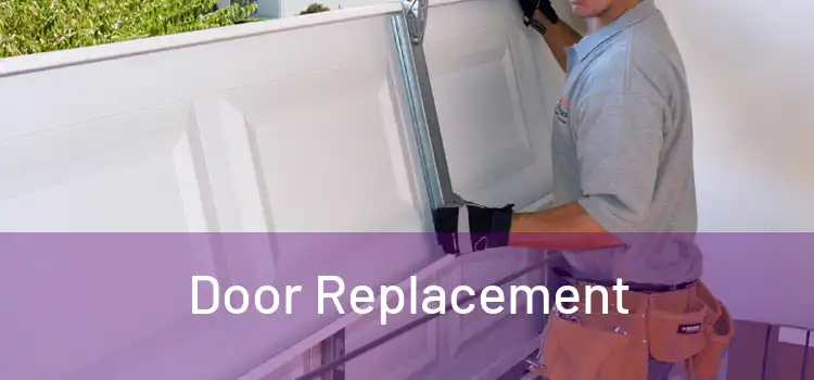  Door Replacement 